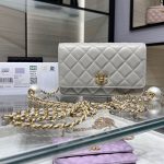 シャネル チェーンウォレット ショルダーバッグ AP3964 シャネル チェーンウォレット ショルダーバッグ AP3964