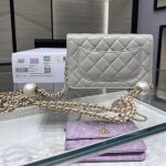 シャネル チェーンウォレット ショルダーバッグ AP3964 シャネル チェーンウォレット ショルダーバッグ AP3964