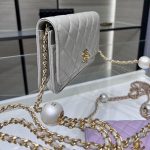 シャネル チェーンウォレット ショルダーバッグ AP3964 シャネル チェーンウォレット ショルダーバッグ AP3964