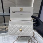 シャネル チェーンウォレット ショルダーバッグ AP3964 シャネル チェーンウォレット ショルダーバッグ AP3964