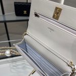 シャネル チェーンウォレット ショルダーバッグ AP3964 シャネル チェーンウォレット ショルダーバッグ AP3964