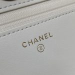 シャネル チェーンウォレット アジャスター付き AP3938 シャネル チェーンウォレット アジャスター付き AP3938
