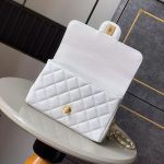 シャネル フラップバッグ 2way チェーンバッグ AS5240 シャネル フラップバッグ 2way チェーンバッグ AS5240