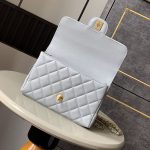 シャネル 25P Wチェーン スモールフラップバッグ AS5240 シャネル 25P Wチェーン スモールフラップバッグ AS5240