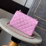 シャネル 25P Wチェーン スモールフラップバッグ ピンク AS5240 シャネル 25P Wチェーン スモールフラップバッグ ピンク AS5240