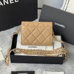 シャネル チェーンクラッチ ミニ財布 AP0238 シャネル チェーンクラッチ ミニ財布 AP0238