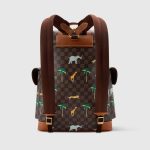 ヴィトン  LV × ザ･ダージリン リミテッド クリストファー MM N40864