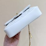 シャネル CF ハートチャーム チェーンバッグ AS3456 ホワイト シャネル CF ハートチャーム チェーンバッグ AS3456 ホワイト