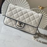 CHANEL  チェーンウォレット バイカラー バッグ AP4511