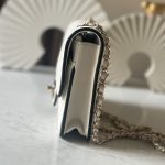CHANEL  チェーンウォレット バイカラー バッグ AP4511