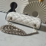 CHANEL  チェーンウォレット バイカラー バッグ AP4511