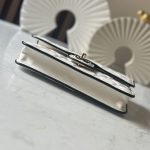CHANEL  チェーンウォレット バイカラー バッグ AP4511