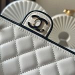 CHANEL  チェーンウォレット バイカラー バッグ AP4511