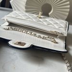 CHANEL  チェーンウォレット バイカラー バッグ AP4511
