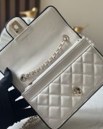 CHANEL  チェーンウォレット バイカラー バッグ AP4511