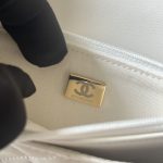 CHANEL  チェーンウォレット バイカラー バッグ AP4511