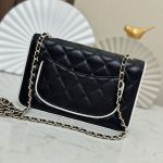 CHANEL  チェーンウォレット バイカラー バッグ AP4511