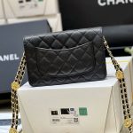 シャネル  22A メティエダール ゴールドコイン WOC ブラック AP2840