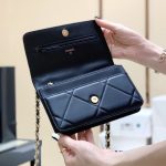 シャネル 19シリーズ WOC ショルダーバッグ AP0957 シャネル 19シリーズ WOC ショルダーバッグ AP0957