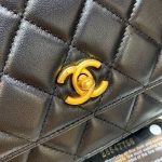 シャネル ビッグパール WOC チェーンバッグ AP1450 シャネル ビッグパール WOC チェーンバッグ AP1450