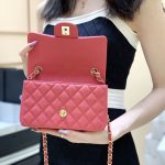 シャネル Classic Flap Bag ビッグミニ A01116 ピンク シャネル Classic Flap Bag ビッグミニ A01116 ピンク