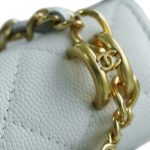 シャネル Mini WOC チェーンバッグ AP3021 ホワイト シャネル Mini WOC チェーンバッグ AP3021 ホワイト