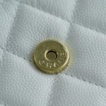 シャネル Mini WOC チェーンバッグ AP3021 ホワイト シャネル Mini WOC チェーンバッグ AP3021 ホワイト