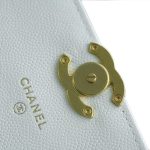 シャネル Mini WOC チェーンバッグ AP3021 ホワイト シャネル Mini WOC チェーンバッグ AP3021 ホワイト