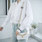 シャネル Mini WOC チェーンバッグ AP3021 ホワイト シャネル Mini WOC チェーンバッグ AP3021 ホワイト