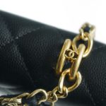 シャネル WOC チェーンバッグ AP3019 シャネル WOC チェーンバッグ AP3019