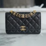 シャネル WOC チェーンバッグ AP3019 シャネル WOC チェーンバッグ AP3019