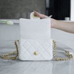 シャネル  ラムスキン WOC フラップバッグ AS3368 AS3369