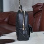 シャネル ミニリュック バックパック AP3753 シャネル ミニリュック バックパック AP3753