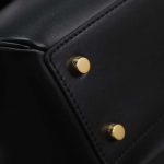 セリーヌ スモール バッグ カーフスキン 188003BF9 セリーヌ スモール バッグ カーフスキン 188003BF9