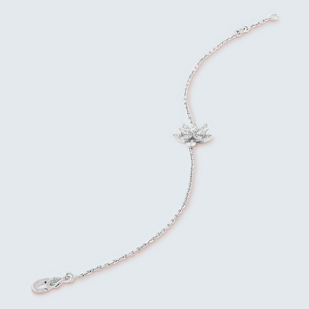 vs006 (2)